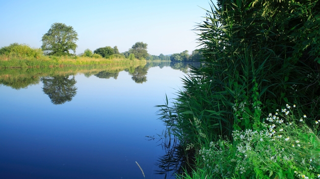 Environmental protection