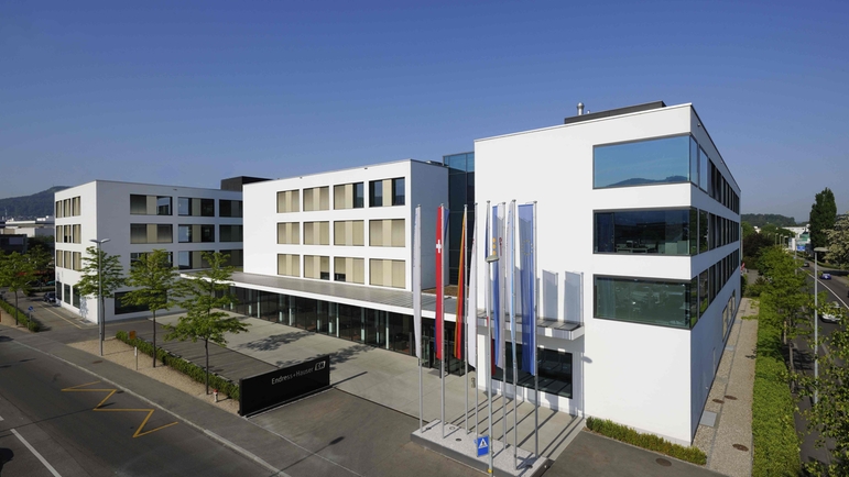 Growth spurt for Endress+Hauser Endress+Hauser