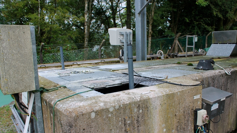 Viomax CAS51D UV sensor in situ