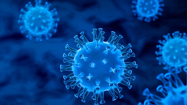 Strong supply chain and support for Life Science projects
