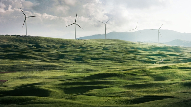 Windmills in green fields
